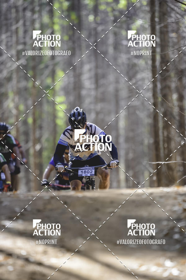Buy your photos of the event16 Edio Maratona 100Km Canaviais on Fotop