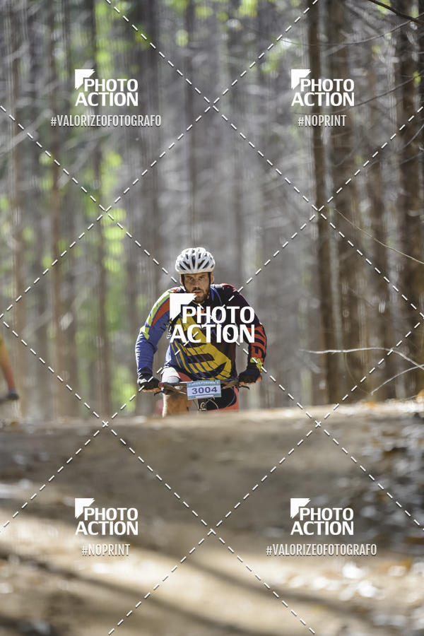 Buy your photos of the event16 Edio Maratona 100Km Canaviais on Fotop