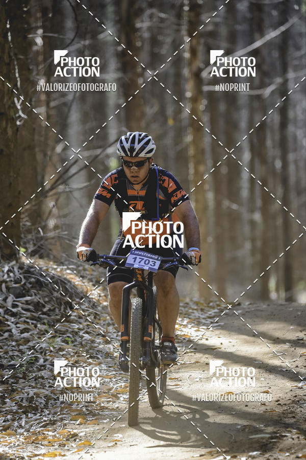 Buy your photos of the event16 Edio Maratona 100Km Canaviais on Fotop