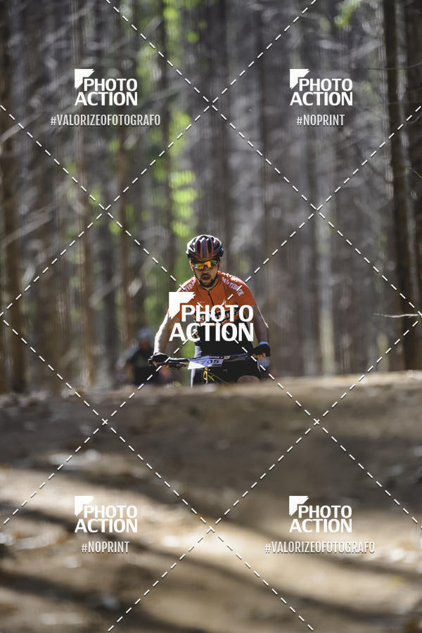 Buy your photos of the event16 Edio Maratona 100Km Canaviais on Fotop