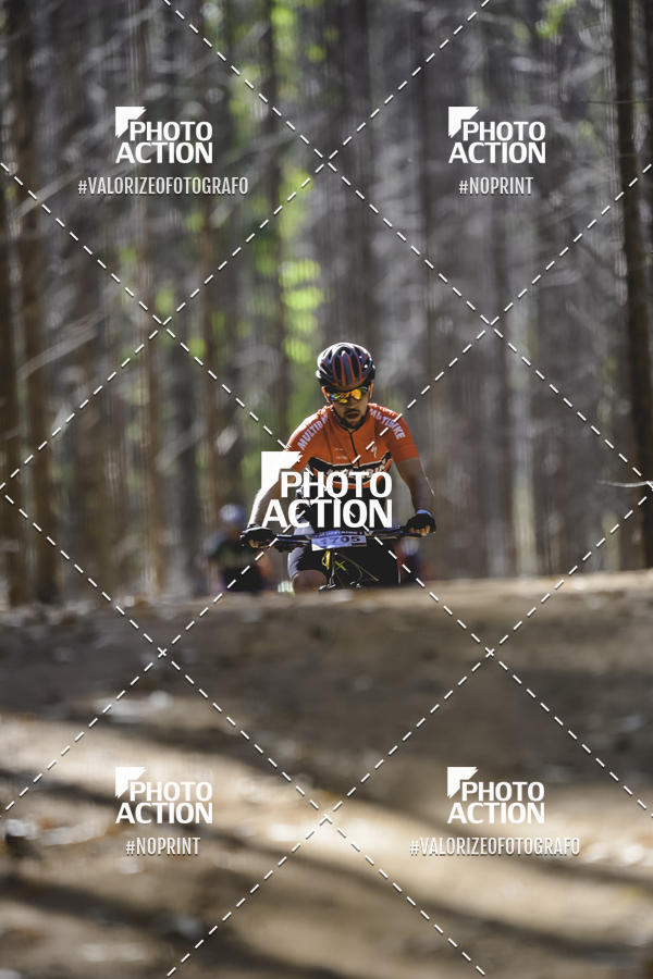 Buy your photos of the event16 Edio Maratona 100Km Canaviais on Fotop