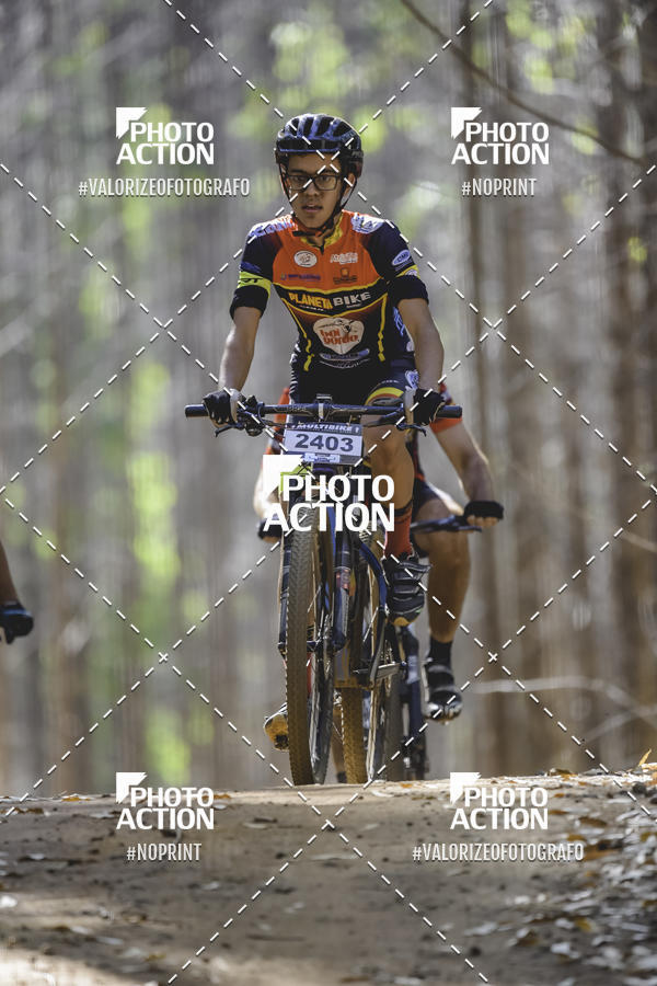 Buy your photos of the event16 Edio Maratona 100Km Canaviais on Fotop