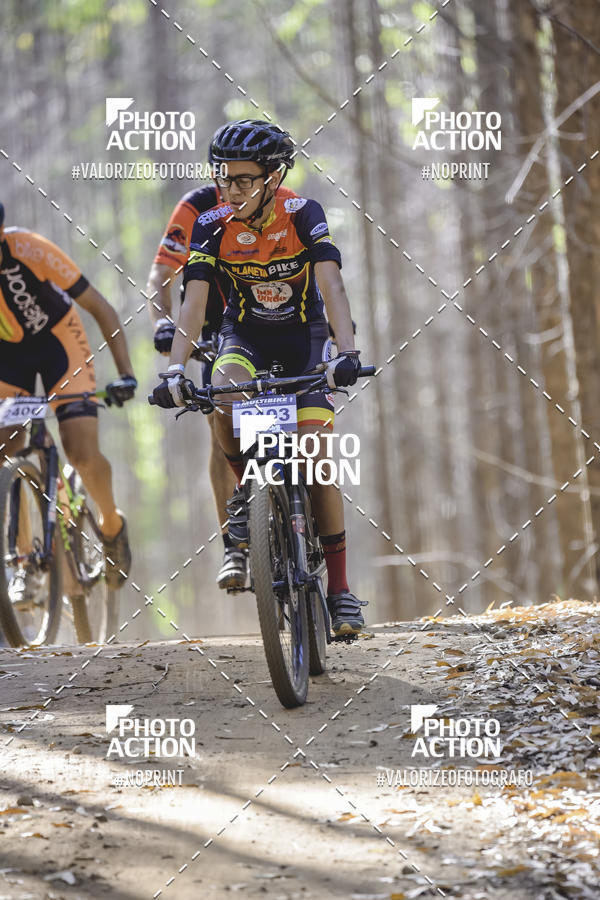 Buy your photos of the event16 Edio Maratona 100Km Canaviais on Fotop