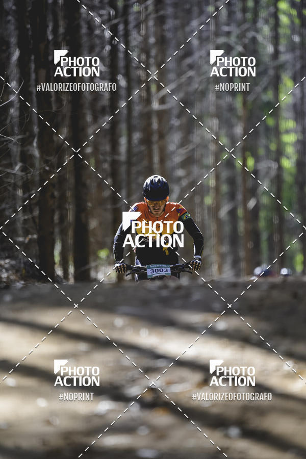 Buy your photos of the event16 Edio Maratona 100Km Canaviais on Fotop