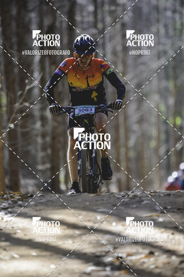 Buy your photos of the event16 Edio Maratona 100Km Canaviais on Fotop