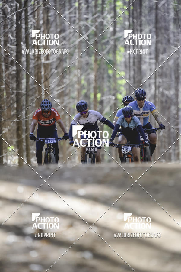 Buy your photos of the event16 Edio Maratona 100Km Canaviais on Fotop