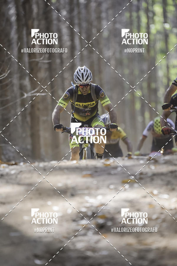 Buy your photos of the event16 Edio Maratona 100Km Canaviais on Fotop
