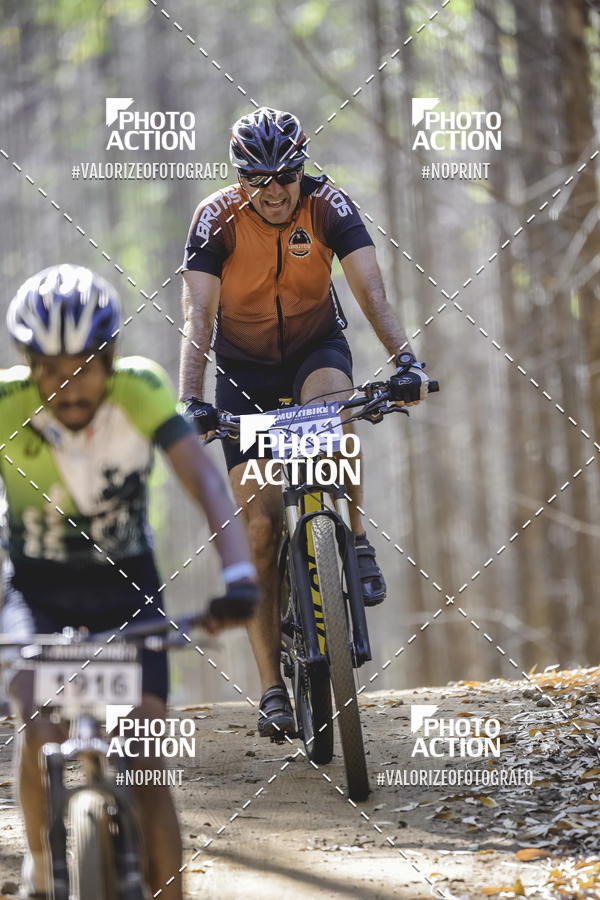 Buy your photos of the event16 Edio Maratona 100Km Canaviais on Fotop