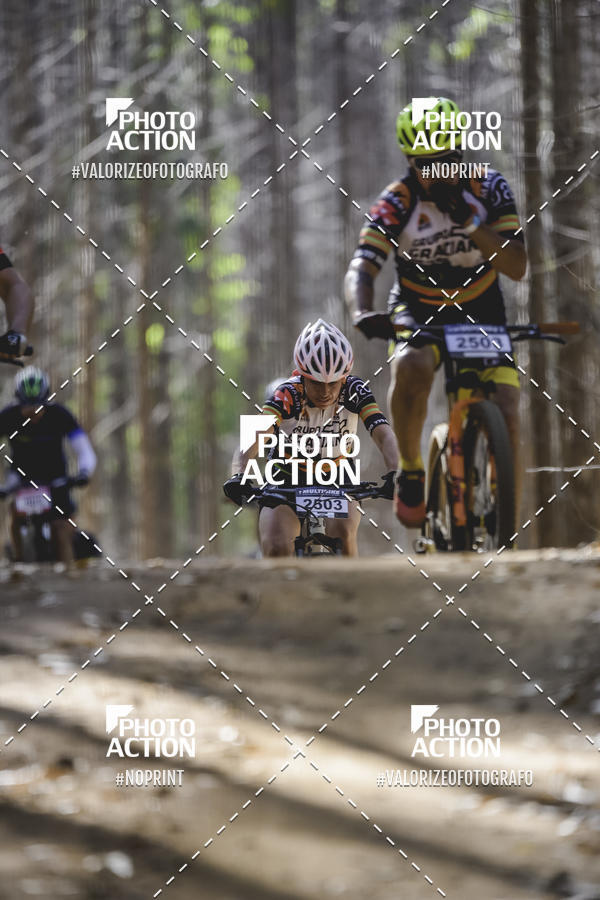 Buy your photos of the event16 Edio Maratona 100Km Canaviais on Fotop