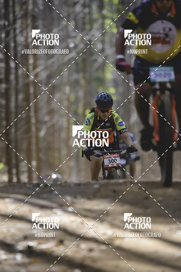 Buy your photos of the event16 Edio Maratona 100Km Canaviais on Fotop