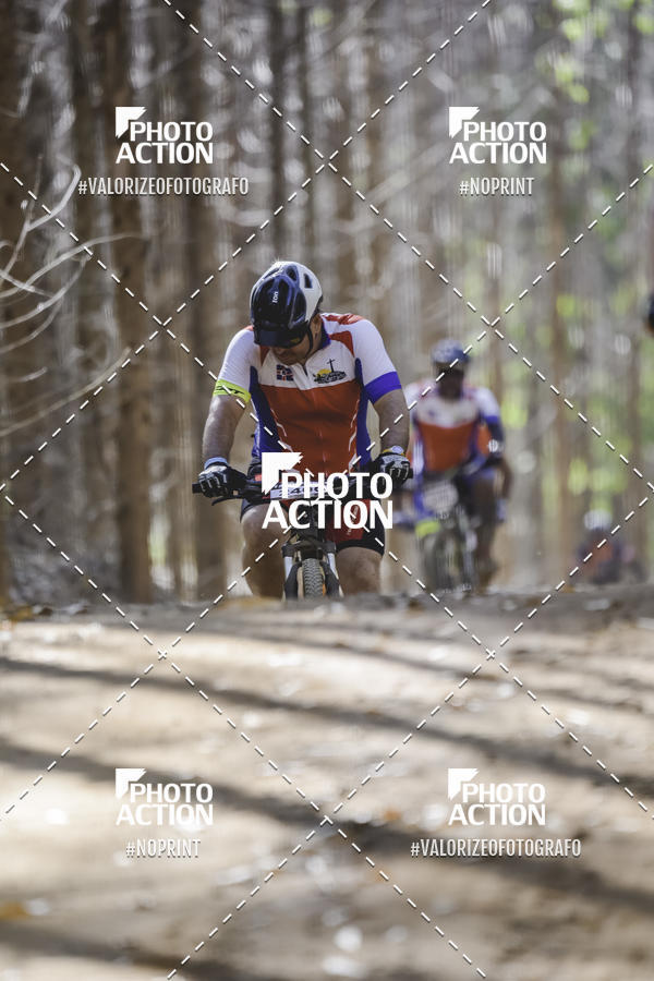 Buy your photos of the event16 Edio Maratona 100Km Canaviais on Fotop