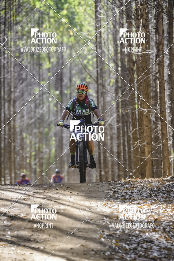 Buy your photos of the event16 Edio Maratona 100Km Canaviais on Fotop