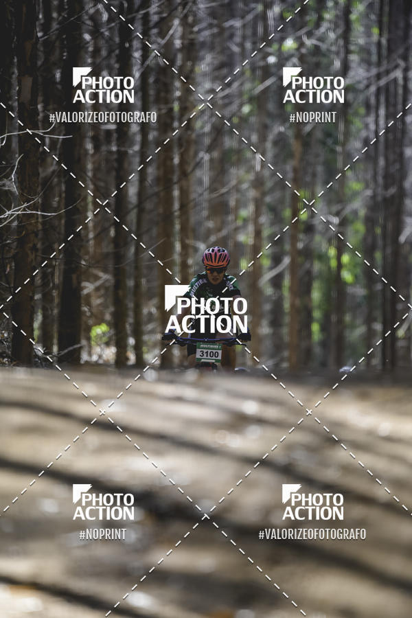 Buy your photos of the event16 Edio Maratona 100Km Canaviais on Fotop