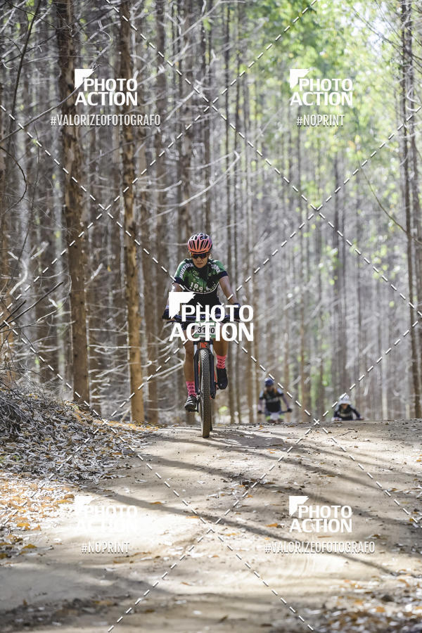 Buy your photos of the event16 Edio Maratona 100Km Canaviais on Fotop