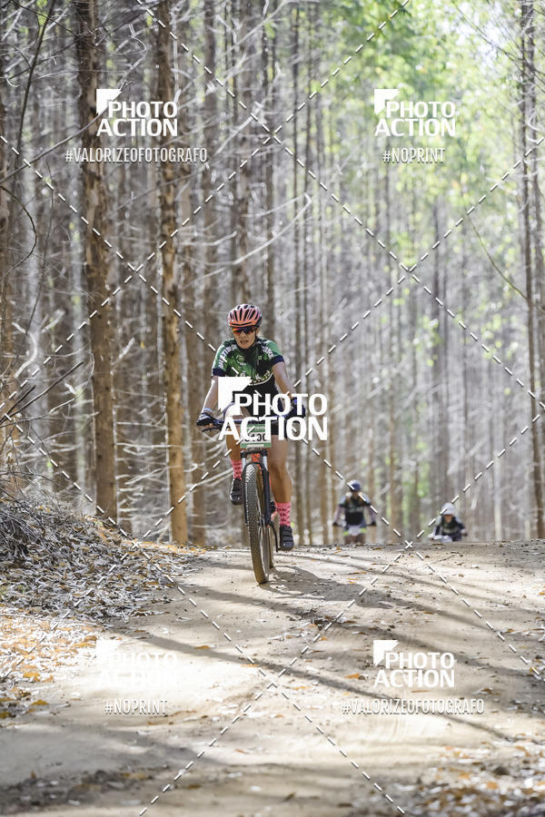 Buy your photos of the event16 Edio Maratona 100Km Canaviais on Fotop