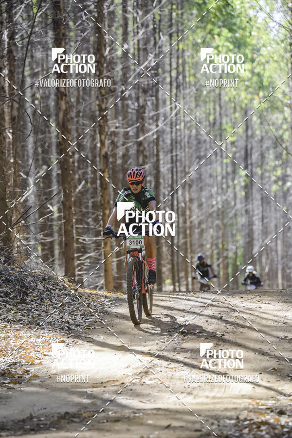 Buy your photos of the event16 Edio Maratona 100Km Canaviais on Fotop