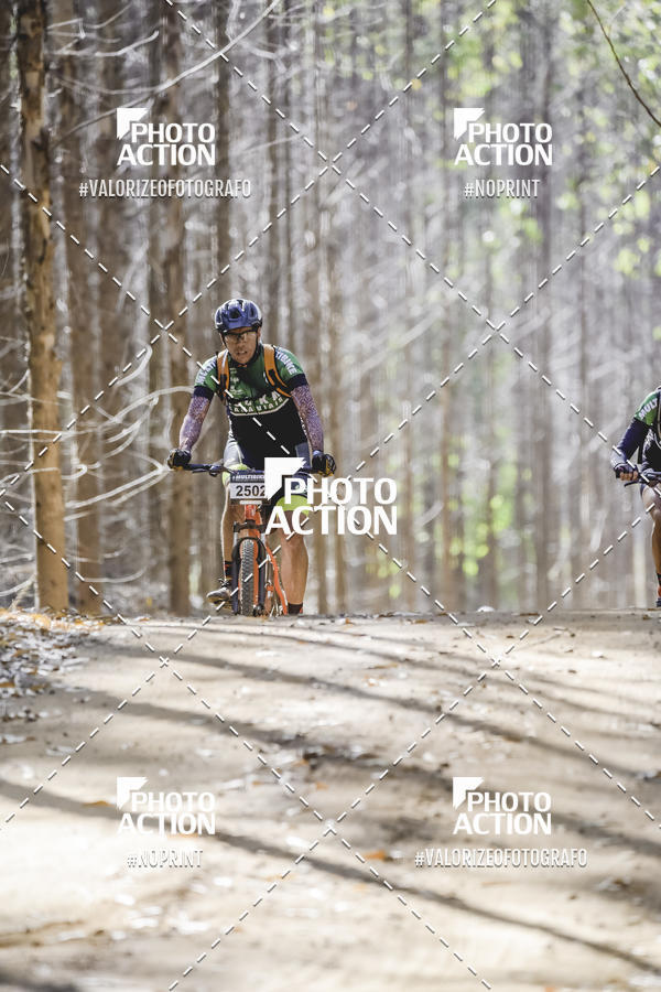 Buy your photos of the event16 Edio Maratona 100Km Canaviais on Fotop