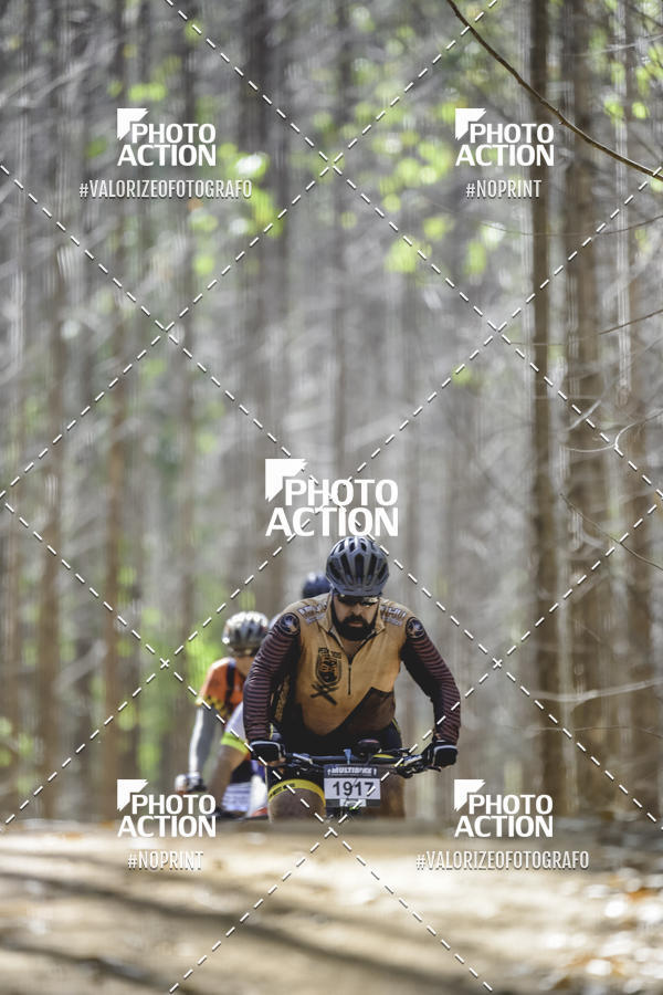 Buy your photos of the event16 Edio Maratona 100Km Canaviais on Fotop