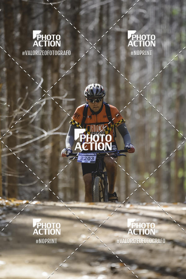 Buy your photos of the event16 Edio Maratona 100Km Canaviais on Fotop