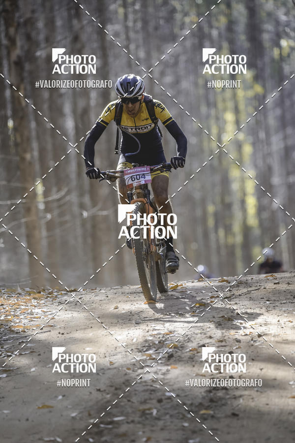 Buy your photos of the event16 Edio Maratona 100Km Canaviais on Fotop