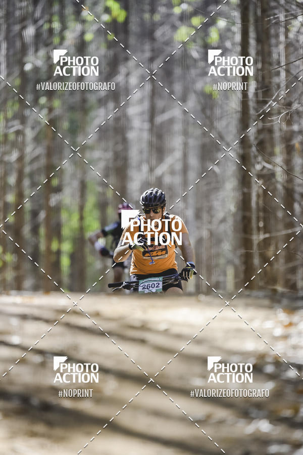 Buy your photos of the event16 Edio Maratona 100Km Canaviais on Fotop
