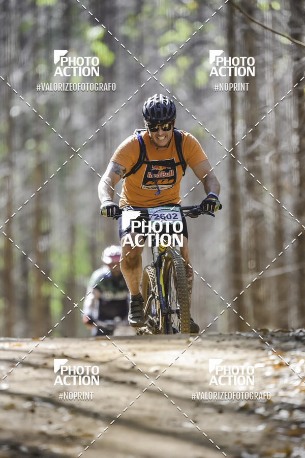 Buy your photos of the event16 Edio Maratona 100Km Canaviais on Fotop