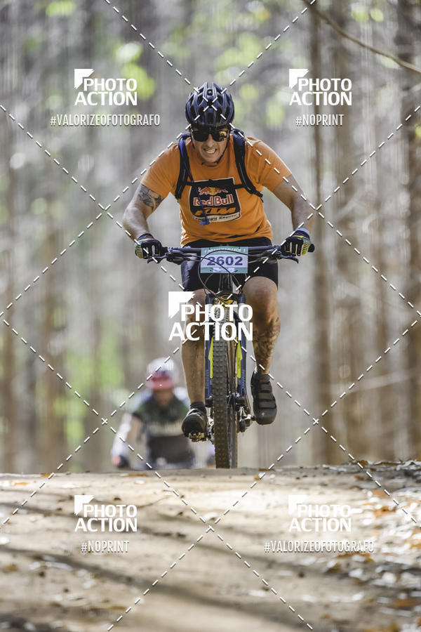 Buy your photos of the event16 Edio Maratona 100Km Canaviais on Fotop