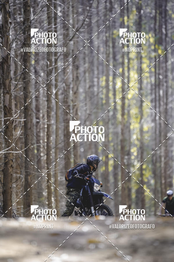 Buy your photos of the event16 Edio Maratona 100Km Canaviais on Fotop