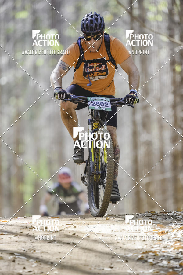 Buy your photos of the event16 Edio Maratona 100Km Canaviais on Fotop