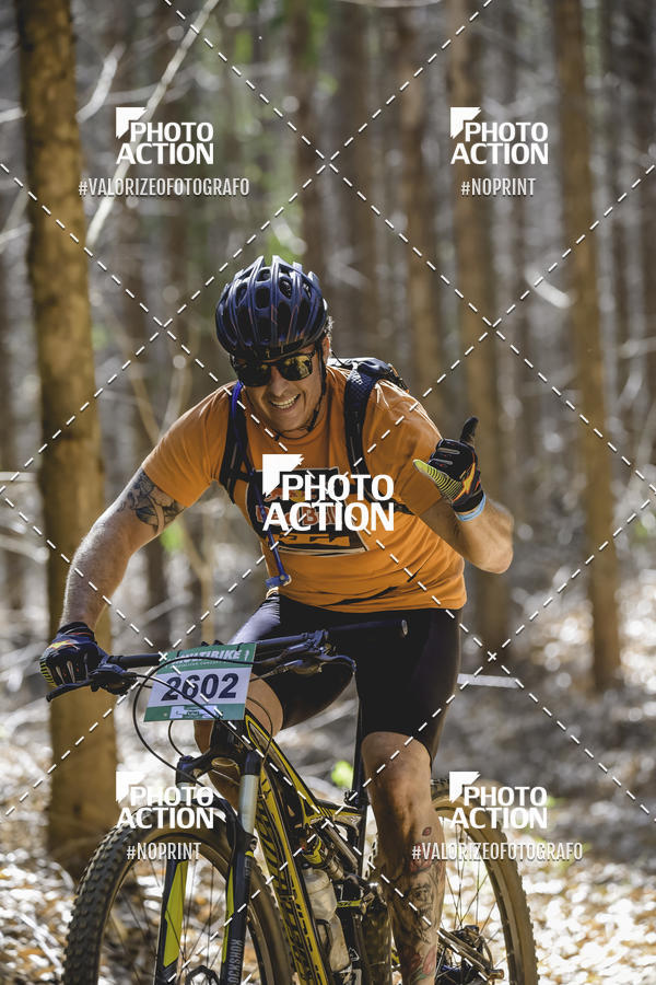 Buy your photos of the event16 Edio Maratona 100Km Canaviais on Fotop