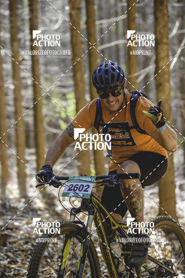 Buy your photos of the event16 Edio Maratona 100Km Canaviais on Fotop