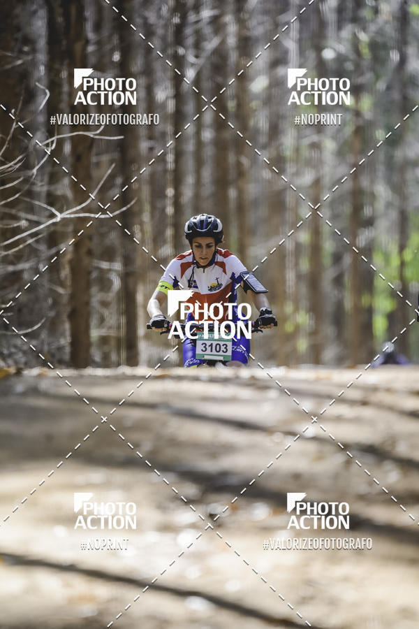 Buy your photos of the event16 Edio Maratona 100Km Canaviais on Fotop