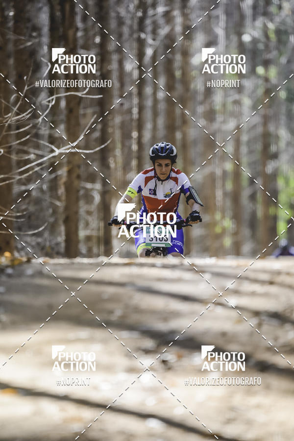 Buy your photos of the event16 Edio Maratona 100Km Canaviais on Fotop