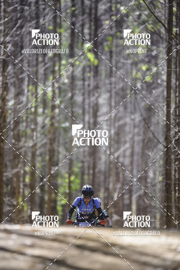 Buy your photos of the event16 Edio Maratona 100Km Canaviais on Fotop