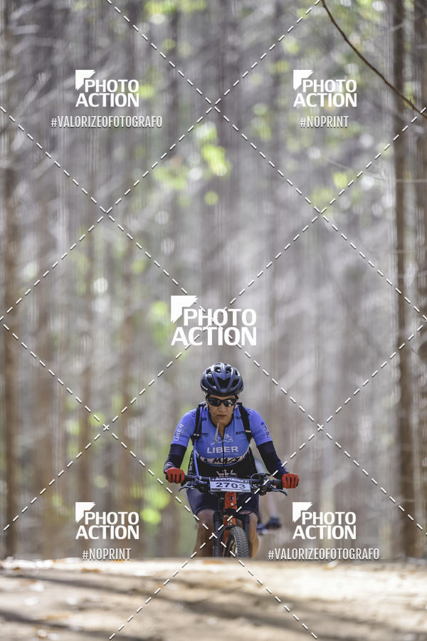 Buy your photos of the event16 Edio Maratona 100Km Canaviais on Fotop