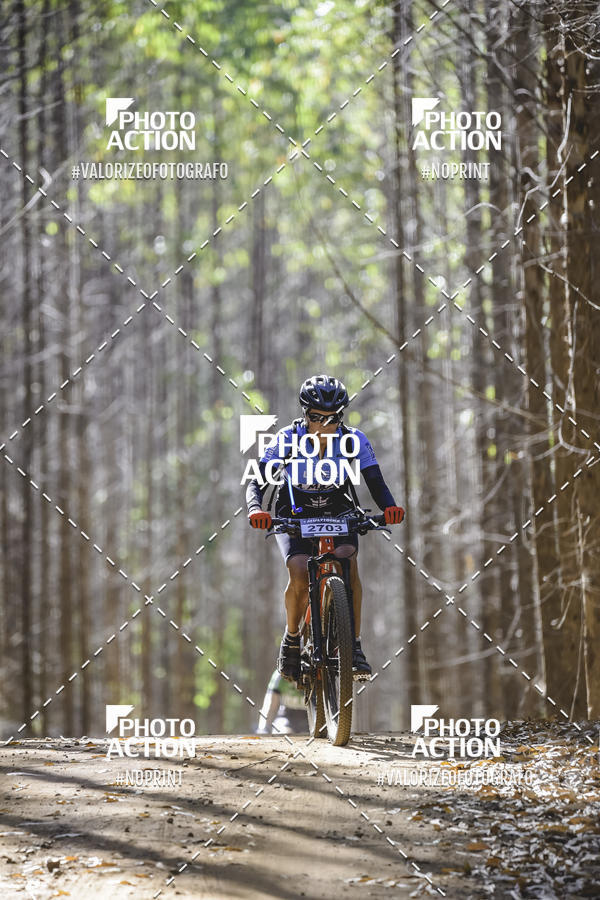 Buy your photos of the event16 Edio Maratona 100Km Canaviais on Fotop