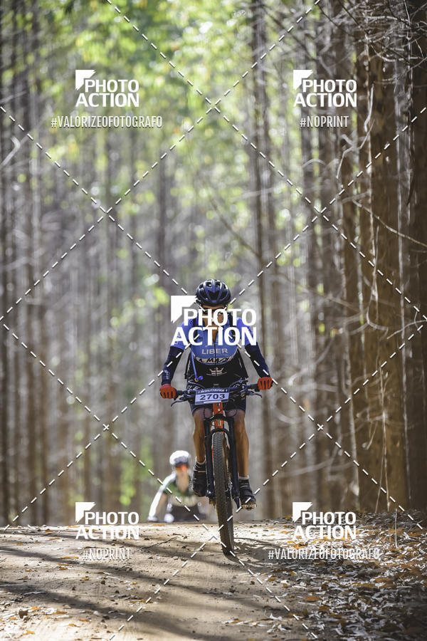 Buy your photos of the event16 Edio Maratona 100Km Canaviais on Fotop