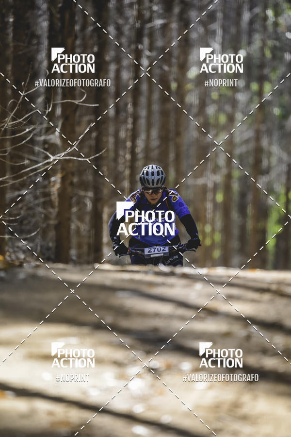 Buy your photos of the event16 Edio Maratona 100Km Canaviais on Fotop