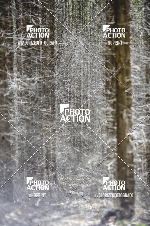 Buy your photos of the event16 Edio Maratona 100Km Canaviais on Fotop