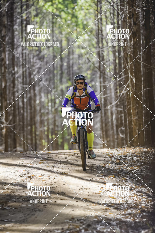 Buy your photos of the event16 Edio Maratona 100Km Canaviais on Fotop