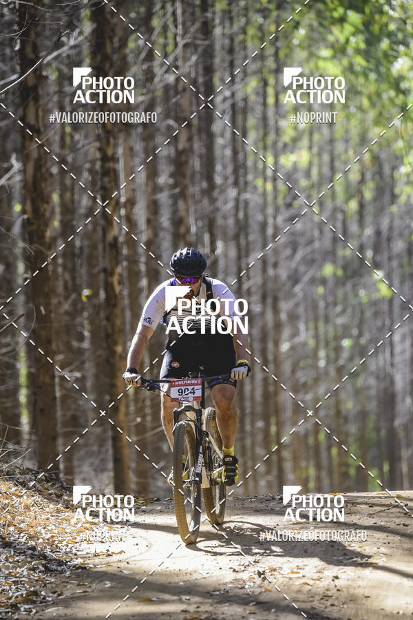 Buy your photos of the event16 Edio Maratona 100Km Canaviais on Fotop