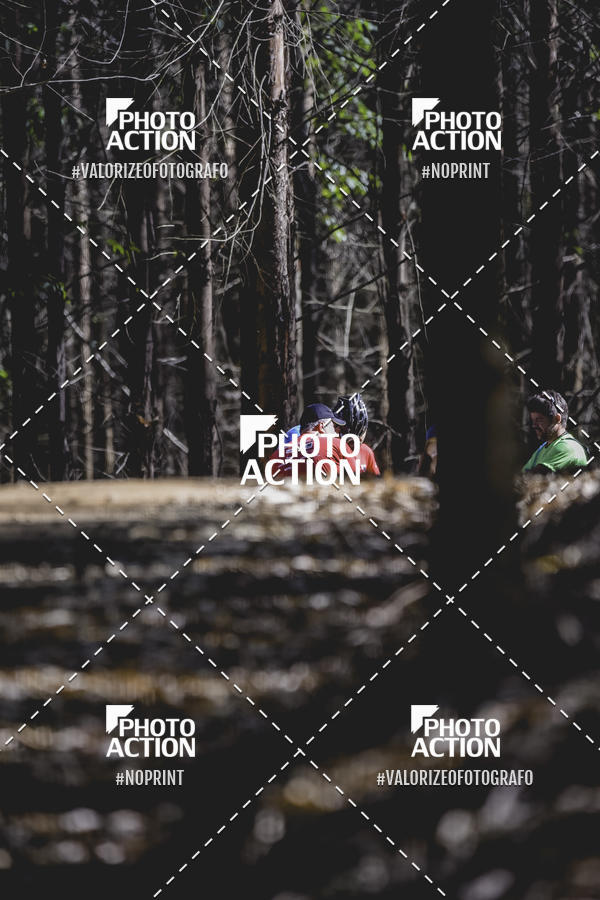 Buy your photos of the event16 Edio Maratona 100Km Canaviais on Fotop