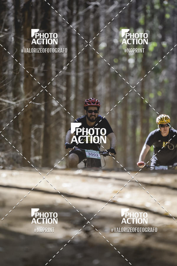 Buy your photos of the event16 Edio Maratona 100Km Canaviais on Fotop