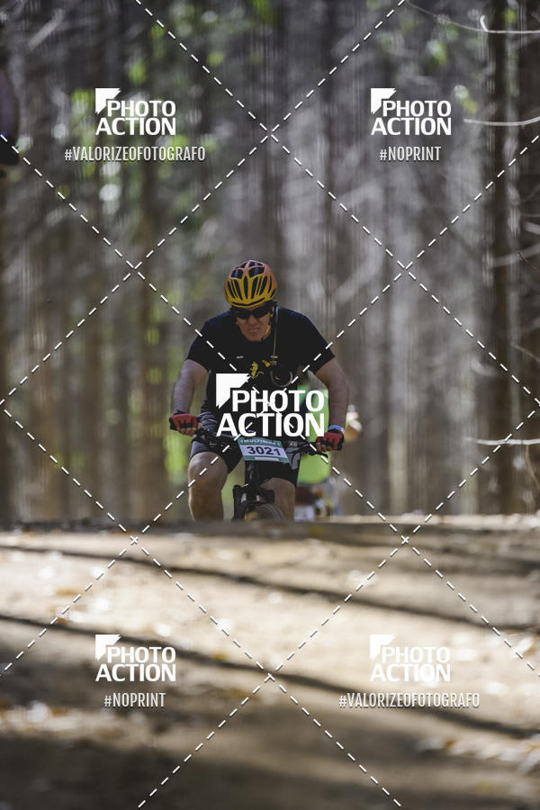 Buy your photos of the event16 Edio Maratona 100Km Canaviais on Fotop
