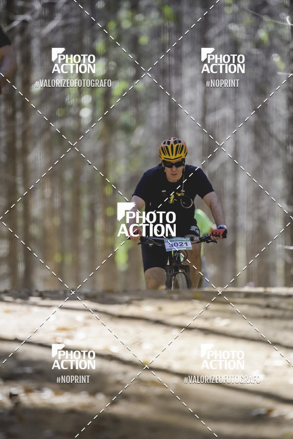 Buy your photos of the event16 Edio Maratona 100Km Canaviais on Fotop