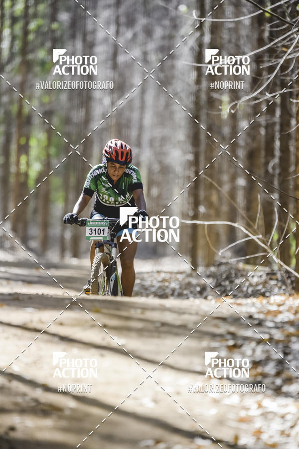 Buy your photos of the event16 Edio Maratona 100Km Canaviais on Fotop