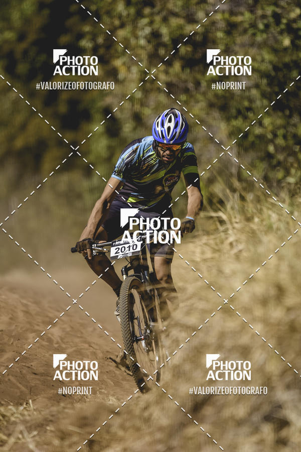 Buy your photos of the event16 Edio Maratona 100Km Canaviais on Fotop