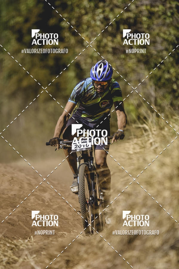 Buy your photos of the event16 Edio Maratona 100Km Canaviais on Fotop