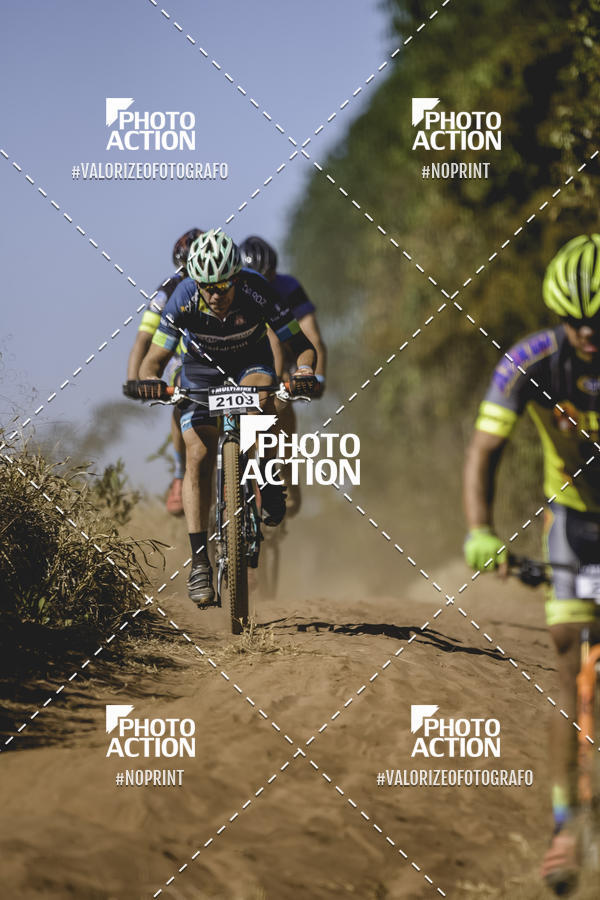 Buy your photos of the event16 Edio Maratona 100Km Canaviais on Fotop