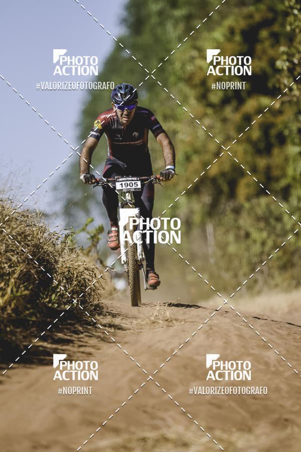 Buy your photos of the event16 Edio Maratona 100Km Canaviais on Fotop